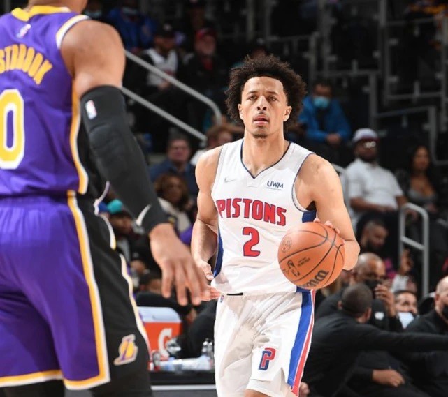 行业人士分 行业人士分